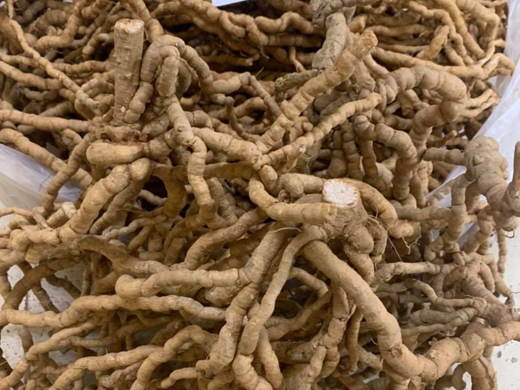 Hợp Tác Xã Nông Nghiệp Dược Liệu Và Dịch Vụ Tiến Sỹ