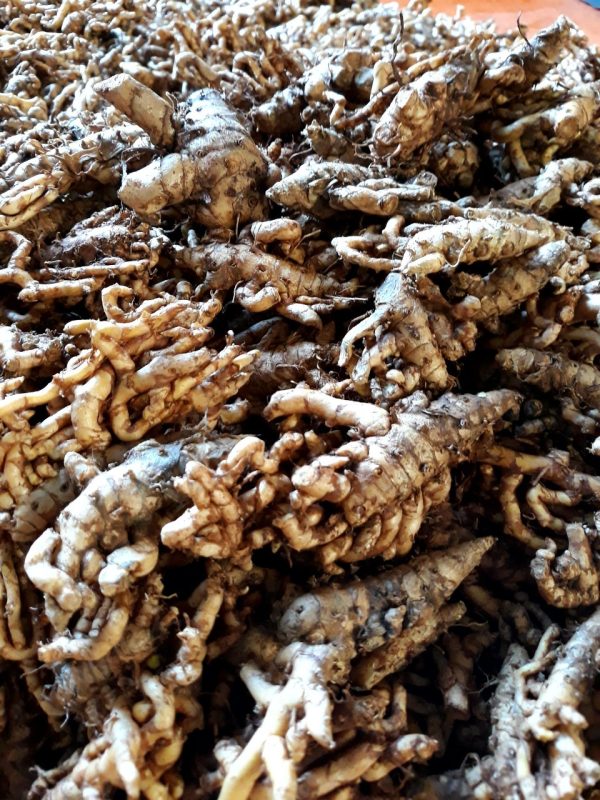 Hợp Tác Xã Nông Nghiệp Dược Liệu Và Dịch Vụ Tiến Sỹ